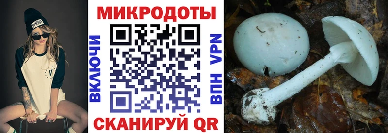 Купить  Новотроицк  Псилоцибиновые грибы MAGIC MUSHROOMS 