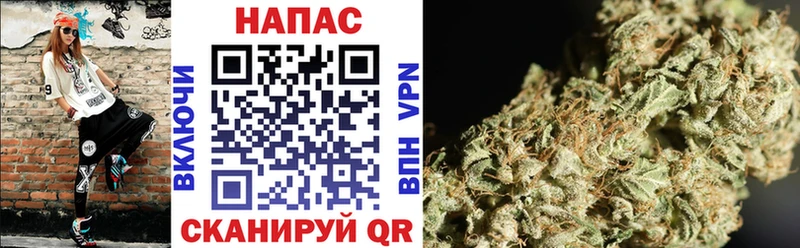 Купить где  Новотроицк  Конопля White Widow 